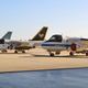 Illustration for article titled The Last Vikings: World's Remaining Airworthy S-3Bs Assemble